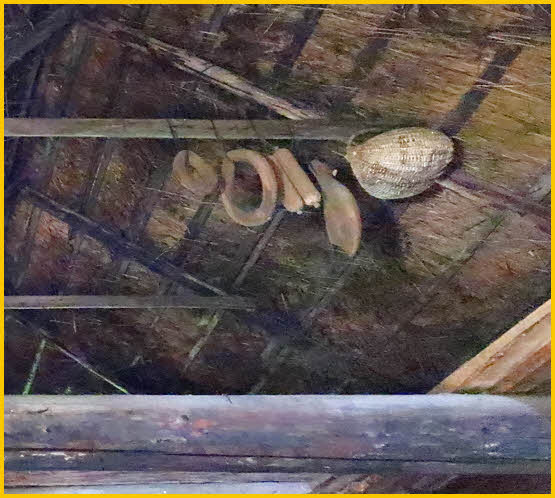 Meat Curing in Attic